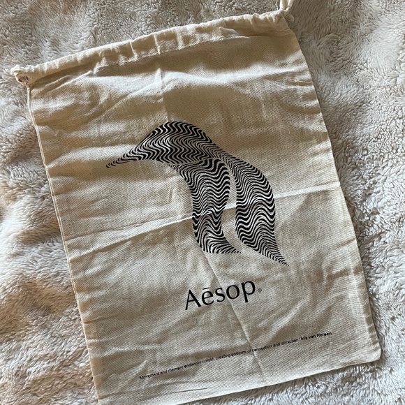 Aesop Pouch / Bag - Picture 1 of 2